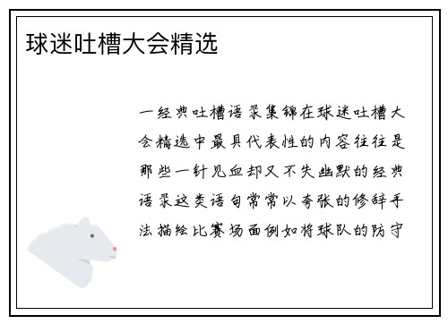 球迷吐槽大会精选